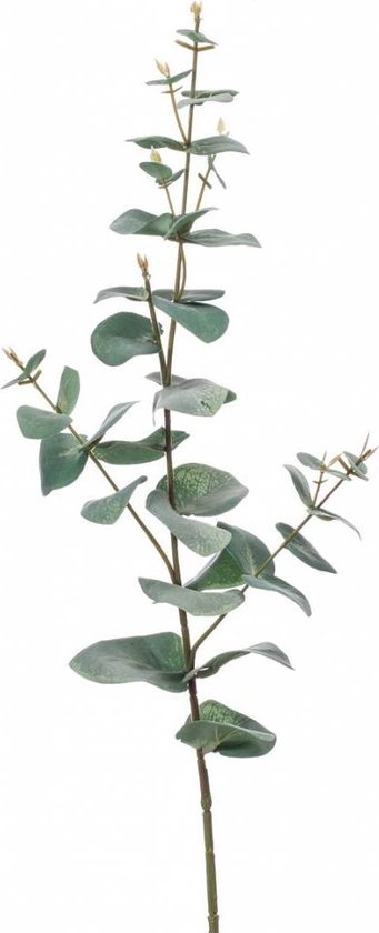 Kunst eucalyptus tak 68 cm
