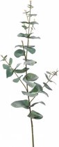 Branche d'eucalyptus artificielle 68 cm