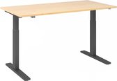 Bureau - In Hoogte Verstelbaar - Meerkleurig - Xmka 16 G - 160x80 -