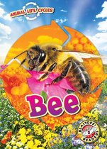Animal Life Cycles- Bee