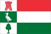 Vlag gemeente Halderberge 100x150 cm