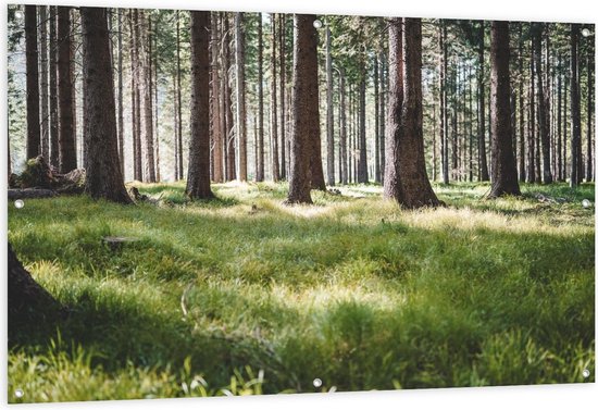 Tuinposter – Bos met Gras - 150x100cm Foto op Tuinposter  (wanddecoratie voor buiten en binnen)