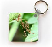 Sleutelhanger - Uitdeelcadeautjes - Close-up van een groep mieren - Plastic