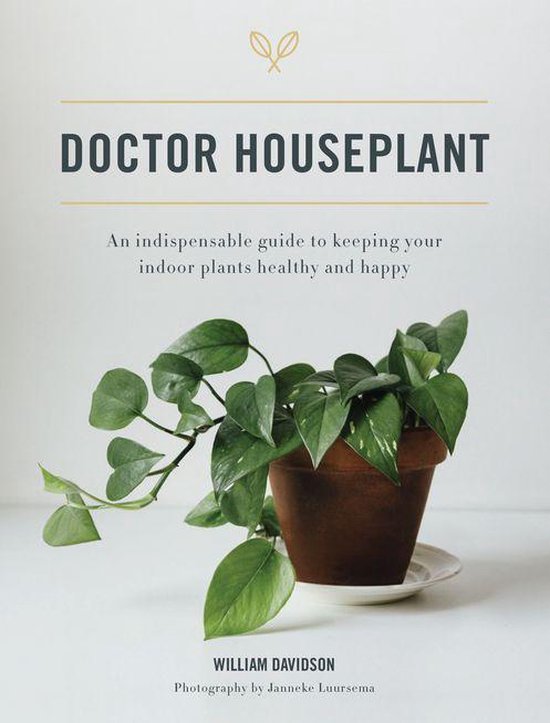 Doctor Houseplant - cover