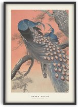 Ohara Koson - Paons sur arbre - 50x70 cm - Affiche d' Art - PSTR studio