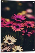 Tuinposter – Roze/Witte Bloemen - 60x90cm Foto op Tuinposter  (wanddecoratie voor buiten en binnen)