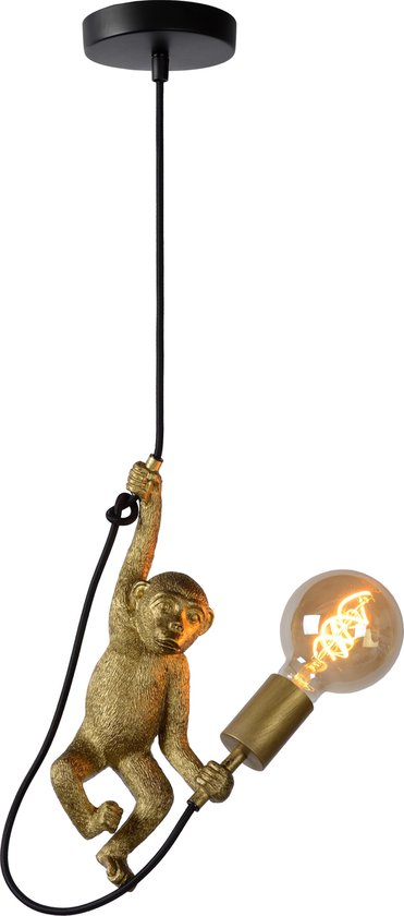 helling Fotoelektrisch kooi Lucide EXTRAVAGANZA CHIMP Hanglamp - Ø 17,6 cm - 1xE27 - Zwart | bol.com