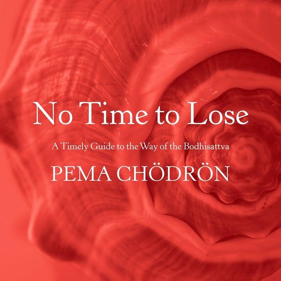Boekhoes met rode spiraalvormige textuur en de tekst 'No Time to Lose, A Timely Guide to the Way of the Bodhisattva, PEMA CHÖDRÖN'.