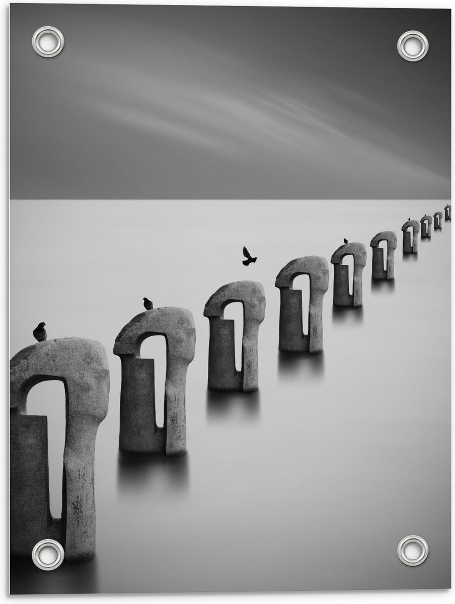 Tuinposter – Vogels op Betonnen Palen ( Zwart Wit ) - 30x40cm Foto op Tuinposter (wanddeco