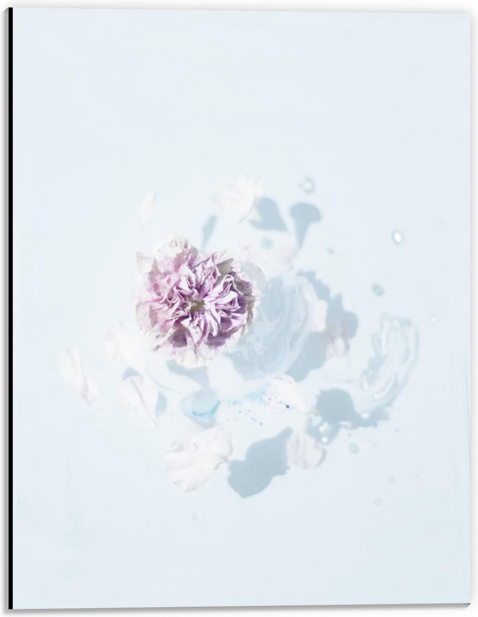 Dibond - Wit Paarse Gedroogde Bloem - 30x40cm Foto op Aluminium (Met Ophangsysteem) op Prijzenvolger.com