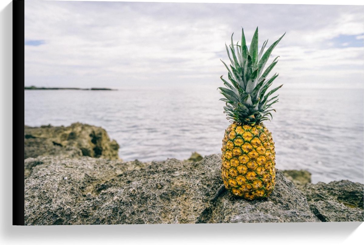 Canvas  - Ananas op een Rots bij de Zee - 60x40cm Foto op Canvas Schilderij (Wanddecoratie op Canvas)