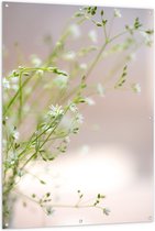 Tuinposter – Groene Plantjes met Witte Bloemetjes - 100x150cm Foto op Tuinposter  (wanddecoratie voor buiten en binnen)