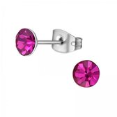 Aramat jewels ® - Oorbellen zweerknopjes fuchsia zilverkleurig chirurgisch staal 5mm