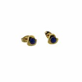 Aramat jewels ® - Oorbellen hartje zirkonia donker blauw goudkleurig chirurgisch staal 7mm x 8mm