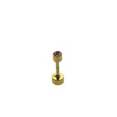 Helix piercing rond chirurgisch staal roze goudkleurig 3mm 1.2mm 6mm