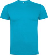 Pack de 2 t-shirts turquoise Roly Dogo taille 6 1/15-116