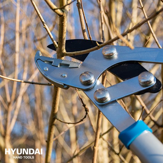 Hyundai Takkenschaar aambeeld 68cm - 58041 van HYUNDAI — afbeelding 4