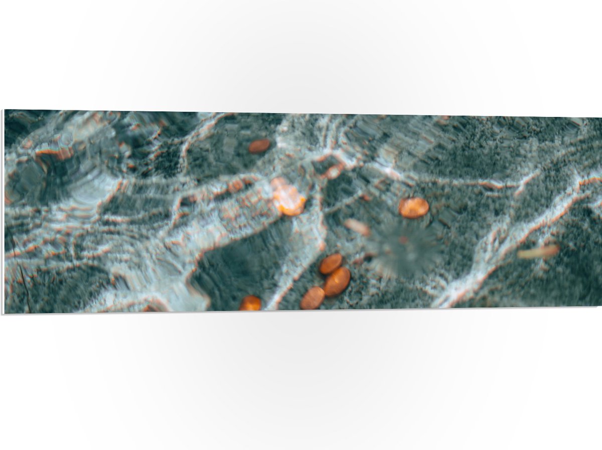 PVC Schuimplaat - Kleingeld op Bodem van Fontein - 120x40 cm Foto op PVC Schuimplaat (Met