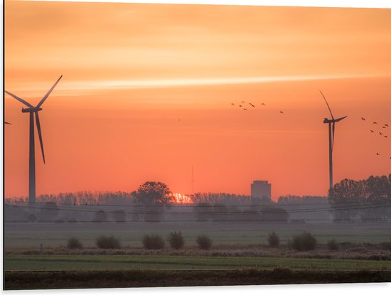 Dibond - Zonsondergang bij Windmolens in het Veld - 80x60 cm Foto op Aluminium (Met Ophangsysteem)