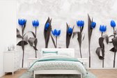 Papier peint - Papiers Papier peint photo Fleurs - Tulipes - Blauw - Largeur 330 cm x Hauteur 220 cm