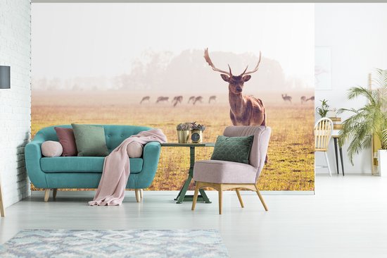 Papier peint - Papier peint Papier peint photo Cerf - Bois - Herbe - Largeur 420 cm x hauteur 280 cm