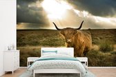 Behang - Fotobehang Schotse Hooglander - Zon - Dieren - Breedte 420 cm x hoogte 280 cm