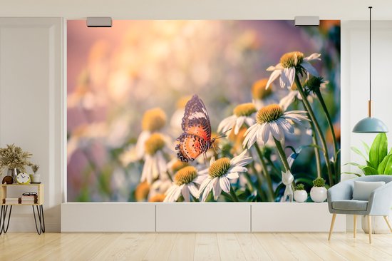 Papier peint Papier peint photo en vinyle - Papillon sur fleur de camomille largeur 450 cm x hauteur 300 cm - Tirage photo sur papier peint (disponible en 7 tailles)