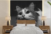 Papier peint - Papier peint photo peint Profil d'animal chat en noir et blanc - Largeur 280 cm x hauteur 280 cm