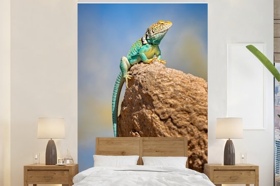 Behang - Fotobehang Een kleurrijke hagedis zit op een steen - Breedte 155 cm x hoogte 240 cm