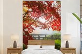 Behang - Fotobehang Japanse esdoorn - Bomen - Brug - Natuur - Japans - Breedte 170 cm x hoogte 260 cm