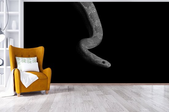 Behang - Fotobehang Dieren - Slang - Zwart - Wit - Portret - Breedte 465 cm x hoogte 260 cm