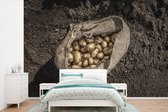 Behang - Fotobehang Aardappel - Jute - Zak - Boerderij - Breedte 525 cm x hoogte 350 cm