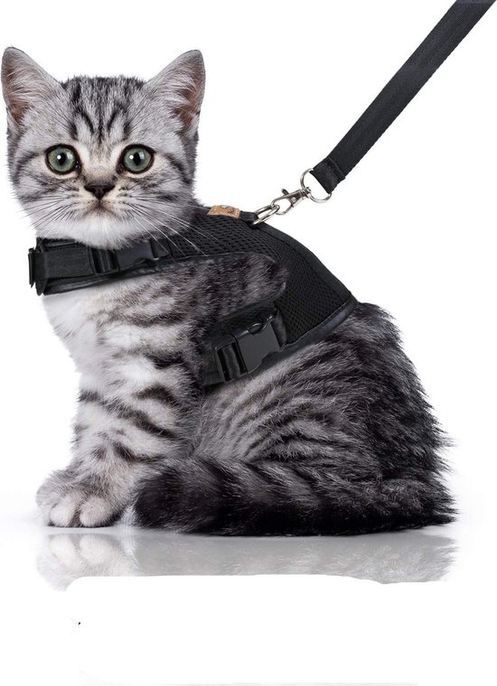 Bella & Balu kattentuigje