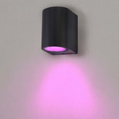 Ledvion Smart Wandlamp Buiten - Sacramento - Zwart - 4.9W - RGB+CCT