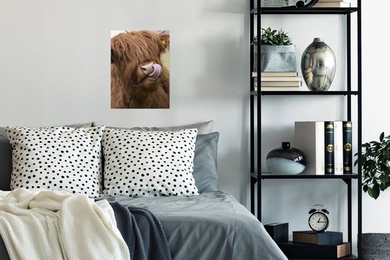 Affiche Highlander écossais - Marron - Animaux - 30x40 cm