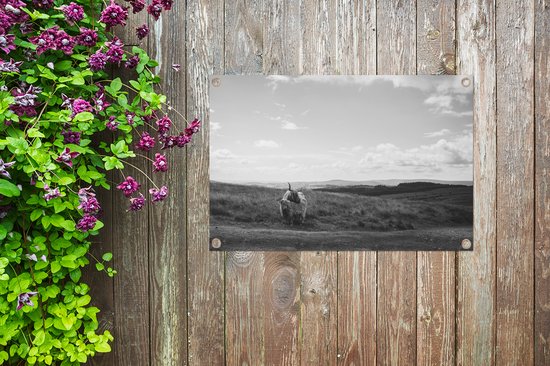 Décoration de jardin Espace nature avec montagnards écossais - noir et blanc - 60x40 cm - Poster jardin - Toile jardin - Poster extérieur