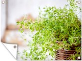 Tuin decoratie Rieten mand met de lichtgroene tijm planten op een rustieke tafel - 40x30 cm - Tuindoek - Buitenposter
