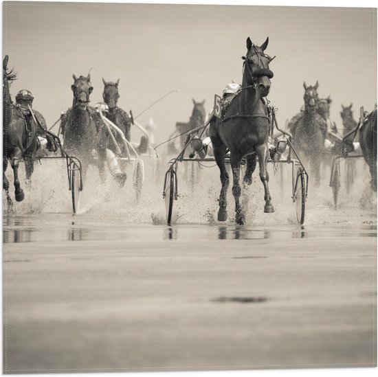 Vlag - Groep Rennende Paarden (zwart- wit) - 50x50 cm Foto op Polyester Vlag