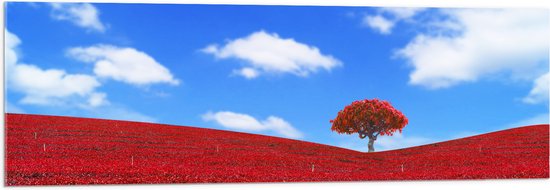 Acrylglas - Kleurrijk Rood Gekleurd Landschap met Blauwe Lucht - 120x40 cm Foto op Acrylglas (Wanddecoratie op Acrylaat)