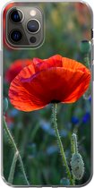 Geschikt voor iPhone 13 Pro hoesje - Kleurrijke Klaprozen in Nederland - Siliconen Telefoonhoesje