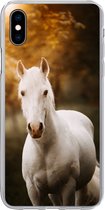 Geschikt voor iPhone Xs hoesje - Paard - Licht - Zon - Siliconen Telefoonhoesje