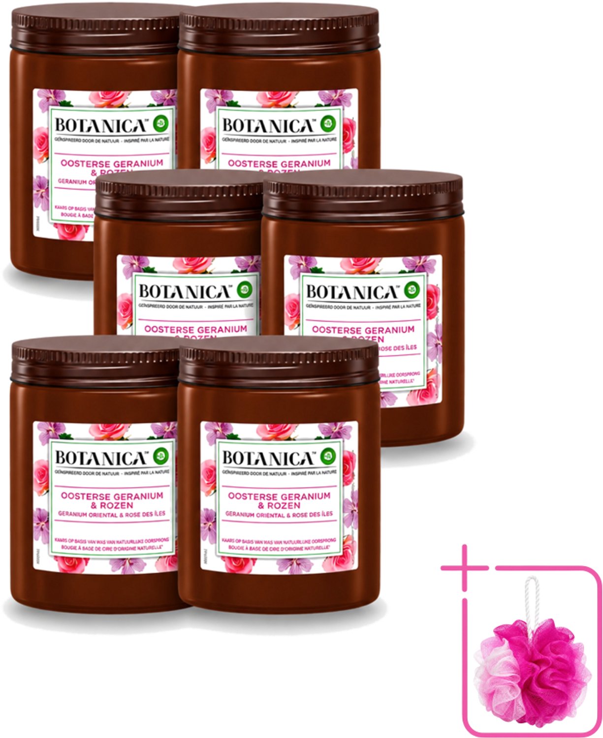 Air Wick 6 x Botanica by Air Wick - Geurkaars - Geranium & Rozen - 40 Uur Brandduur - Bulkverpakking - Geurkaars - Douchemop - Geranium en rozen Wit