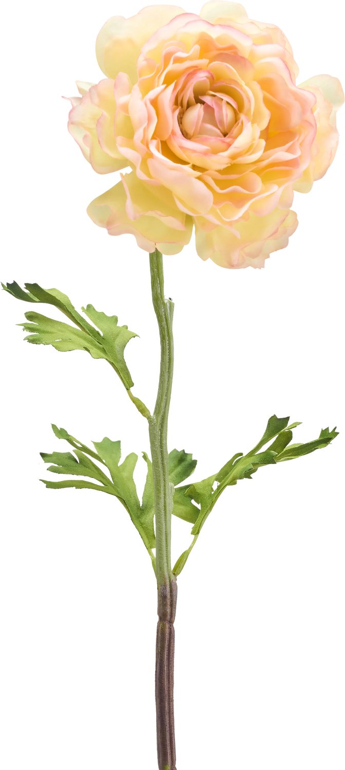 Easyplants | Kunstbloem Ranunculus 51 cm licht wit | Zijde | Nepbloemen | wit | Onderhoudsvrij | Kant-en-klaar