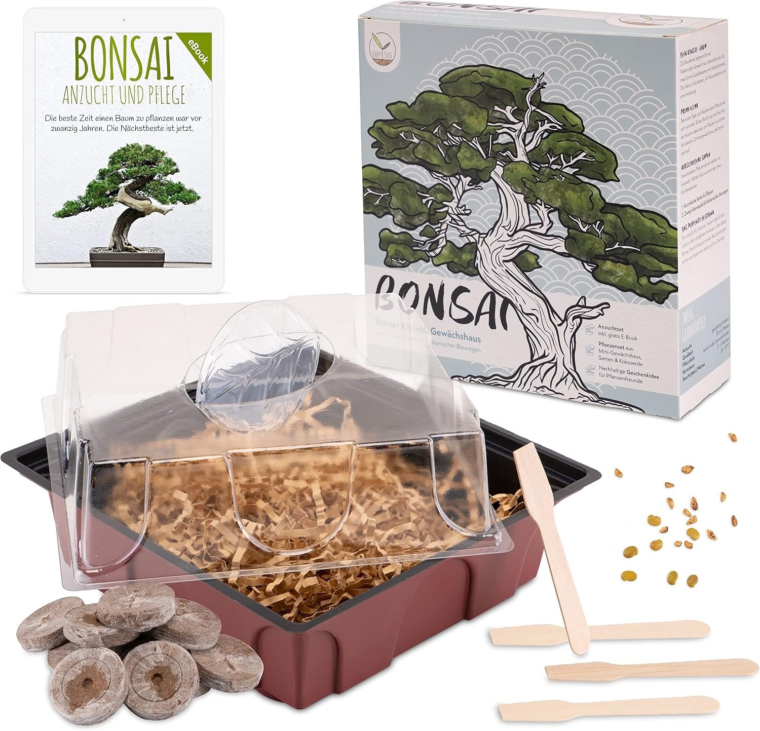 Bonsai Starter Kit - Groen - Kweekset met Minibroeikas, Zaden & Grond - Duurzaam Cadeau-idee voor Plantenliefhebbers