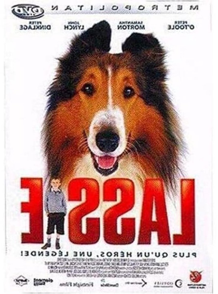 Film op dvd - Schijf met speelfilm - Voor films kijken - Digitale opname - Standaardformaat - Gekleurd