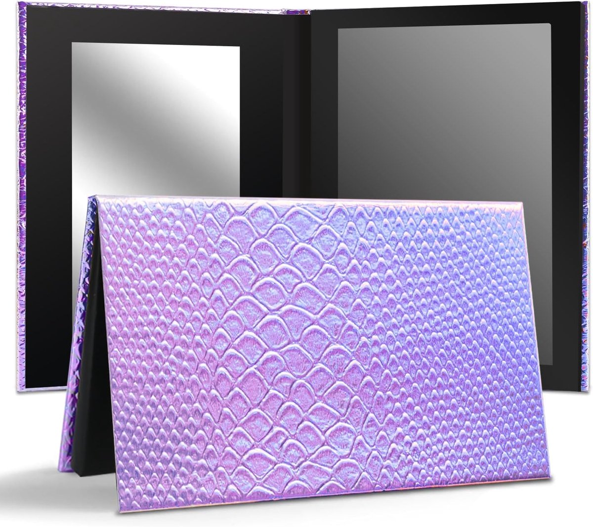 Leeg Magnetisch Palet, Visschaal Leeg Magnetisch Palet voor Markeerstiften Oogschaduw Lippenstift Blush Poeder Rechthoek Groot formaat (Visschalen)
