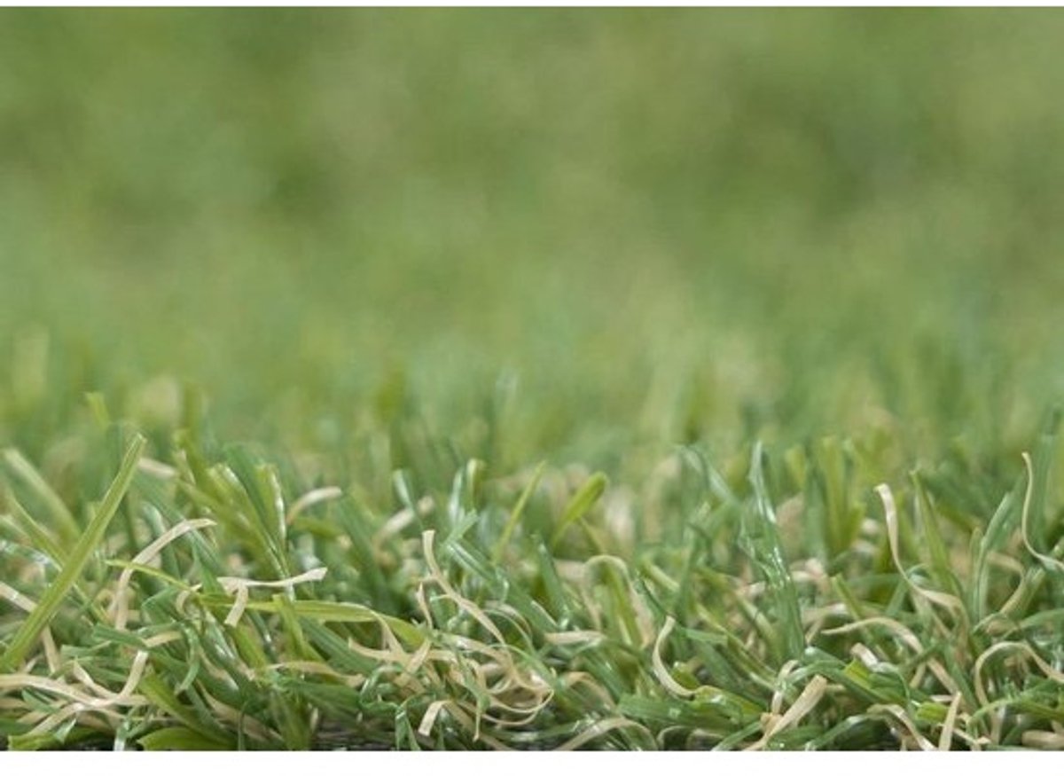 Kunstgras - Siergras voor gazons - Tuindecoratie - Realistische uitstraling - 2 x 2 meter - Groen