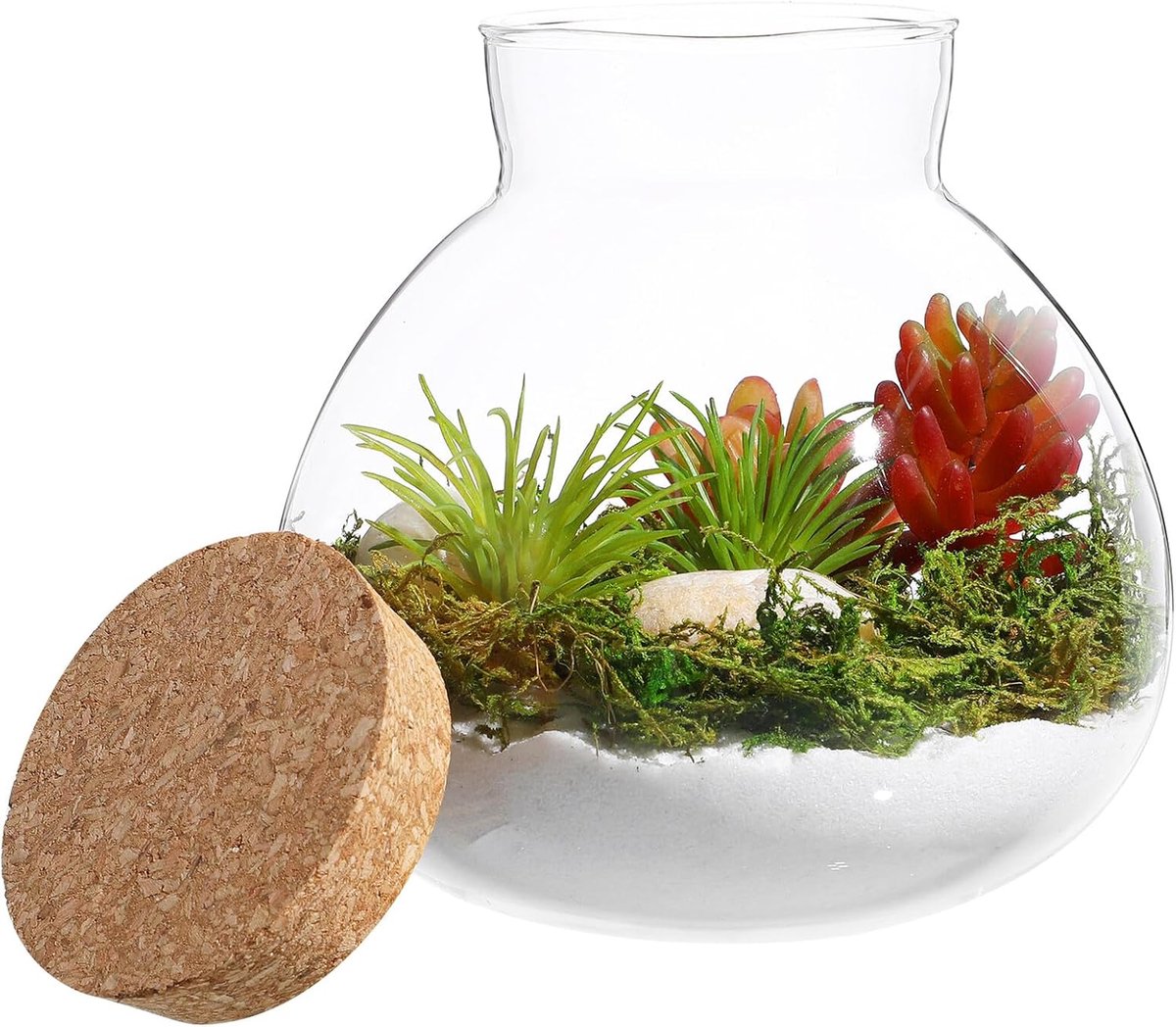 Glazen voor Microlandschappen Transparante Plantcontainer voor Diy Terrarium Decoratie Huiskamer Slaapkamer Kantoor
