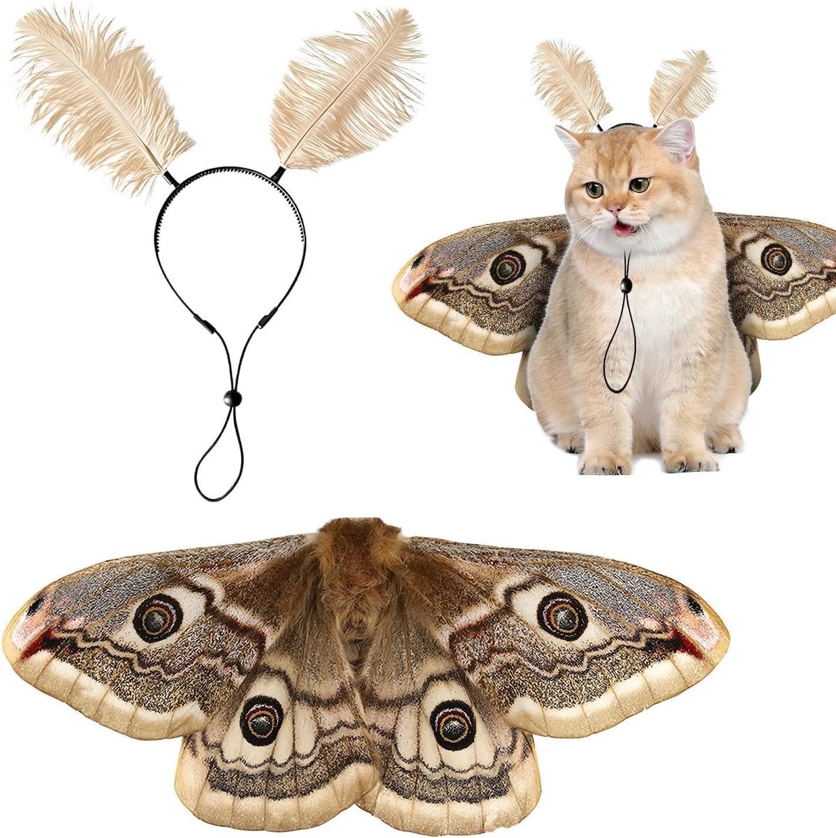 Kostuums voor honden Kattenvleugel met hoofdband