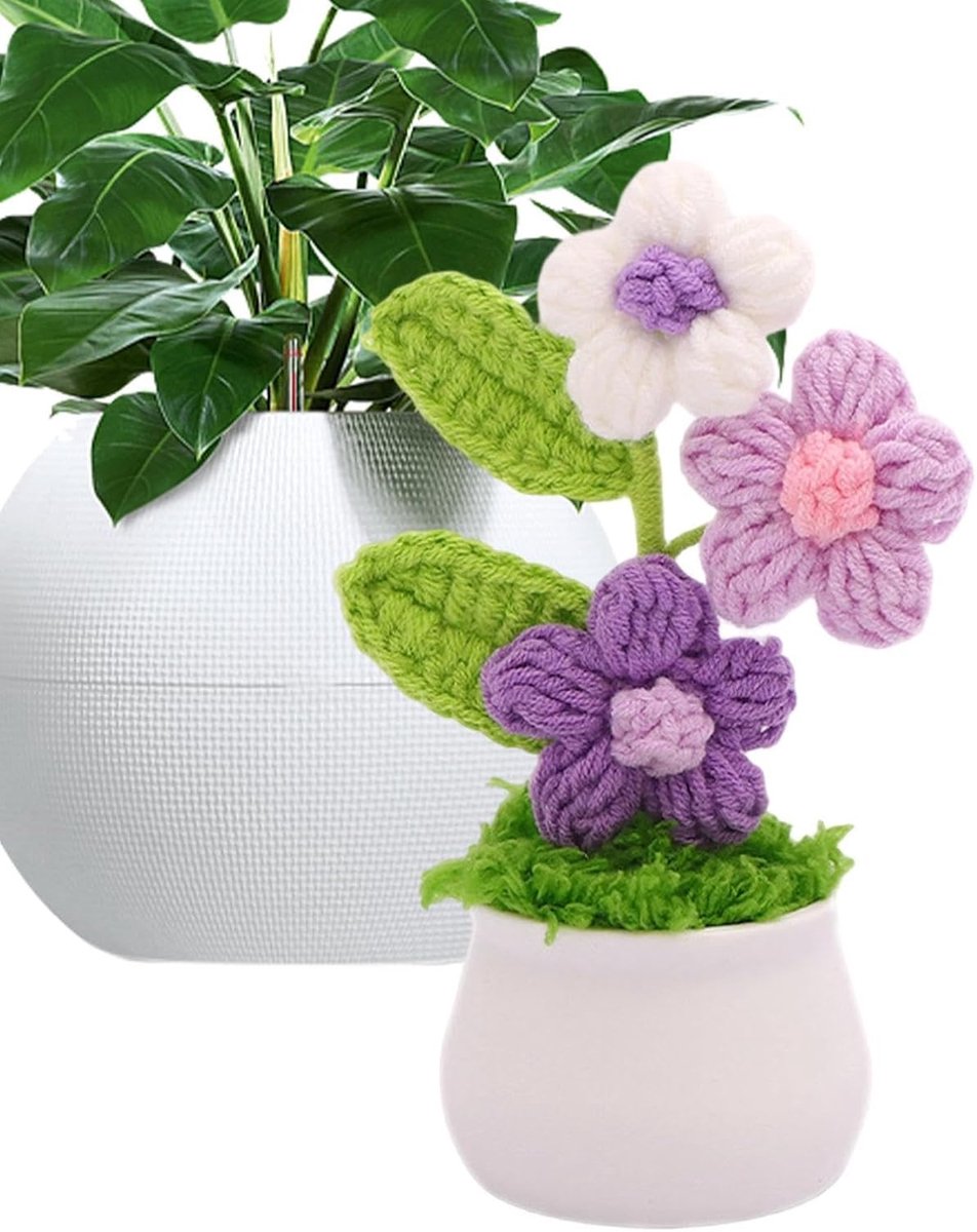 Planten Handgemaakt Decoratief Kleurrijk met Verloop